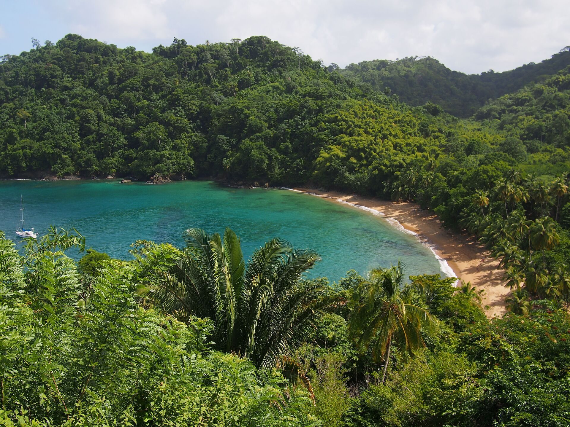 Trinidad & Tobago — forested bay and beach