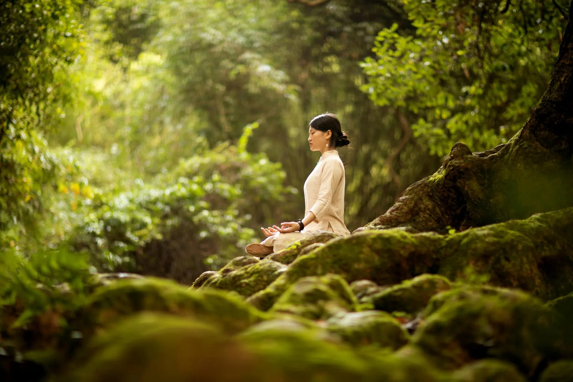 Wellness and nature in regenerative tourism