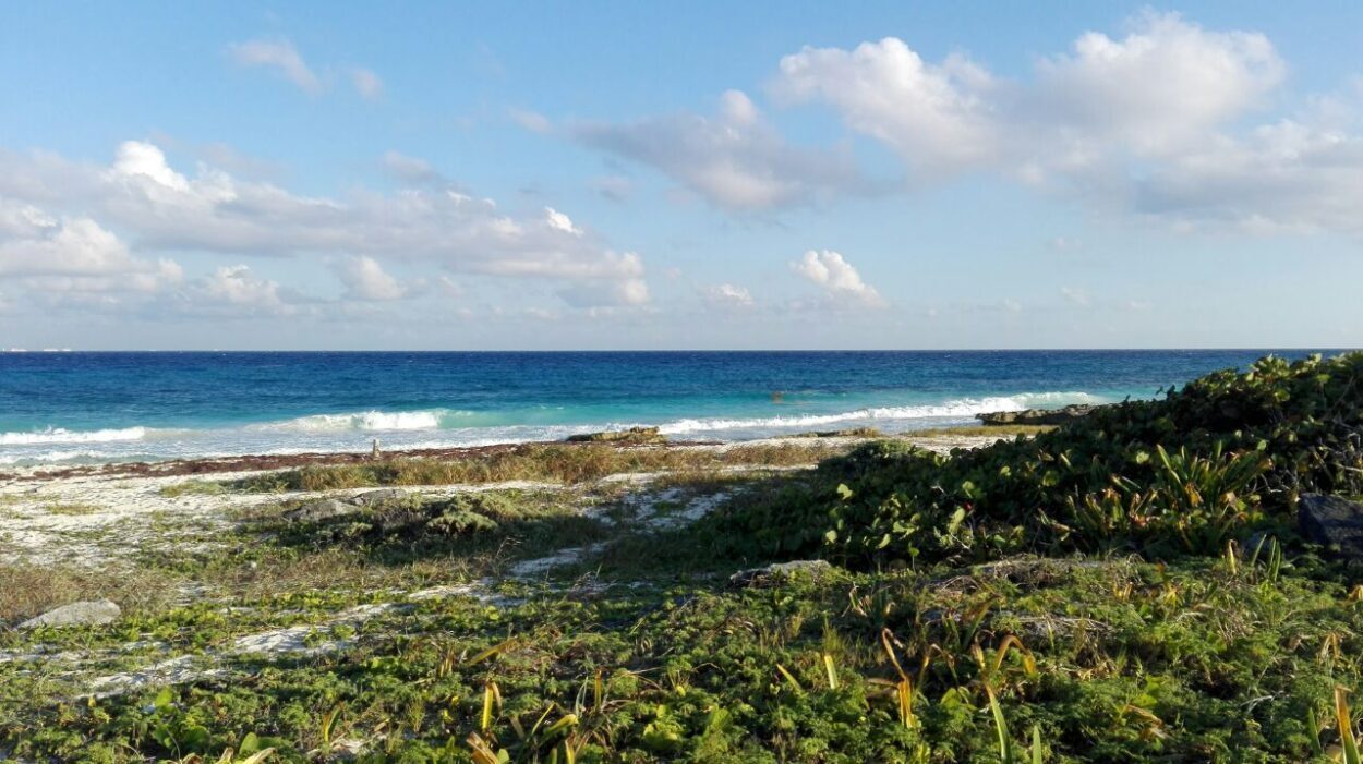 Biodiversity Hotspots: Preserving Natural Beauty in Eco Luxury Destinations