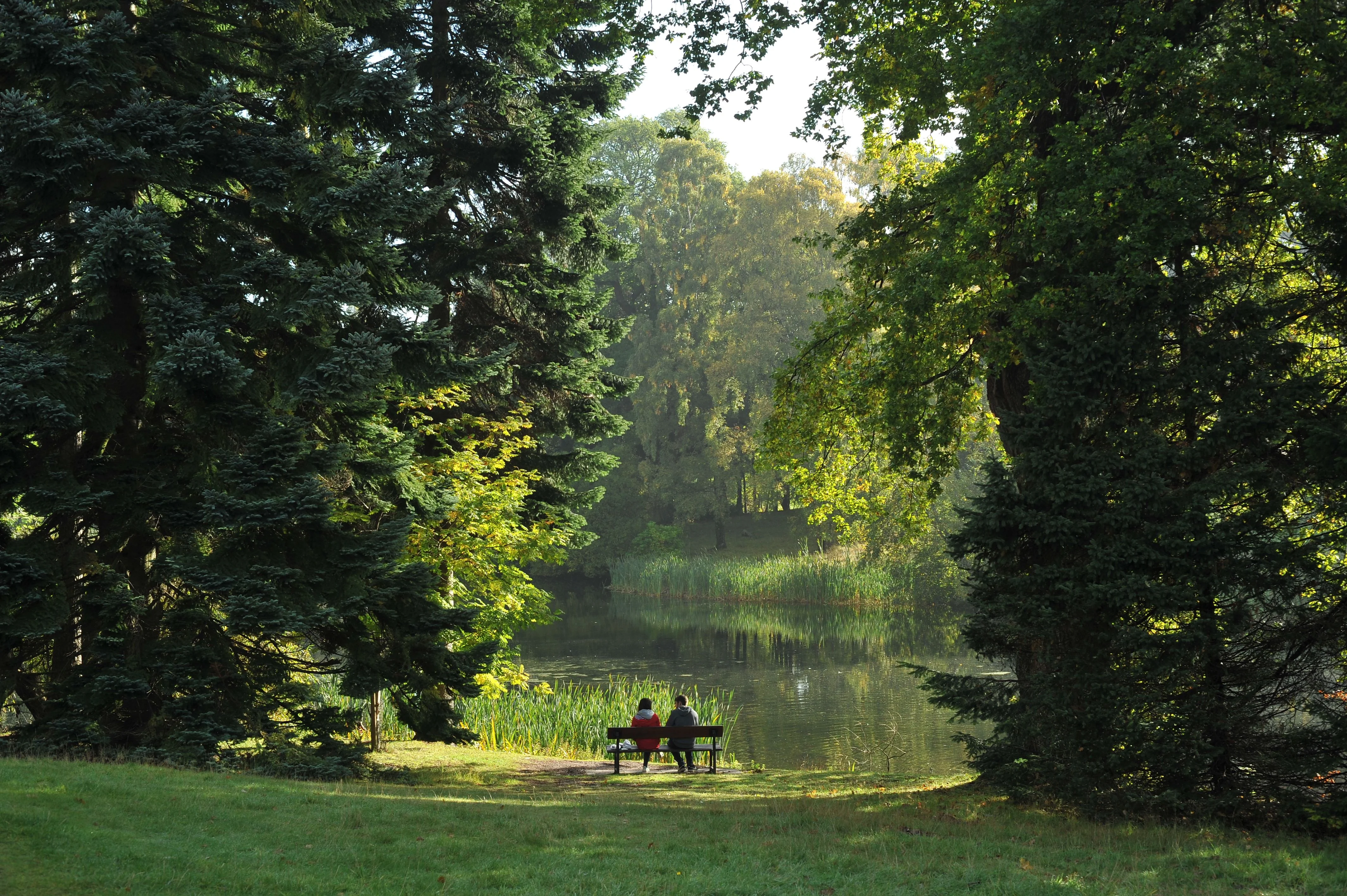 Regenera Luxury &mdash; Un Momento de Quietud