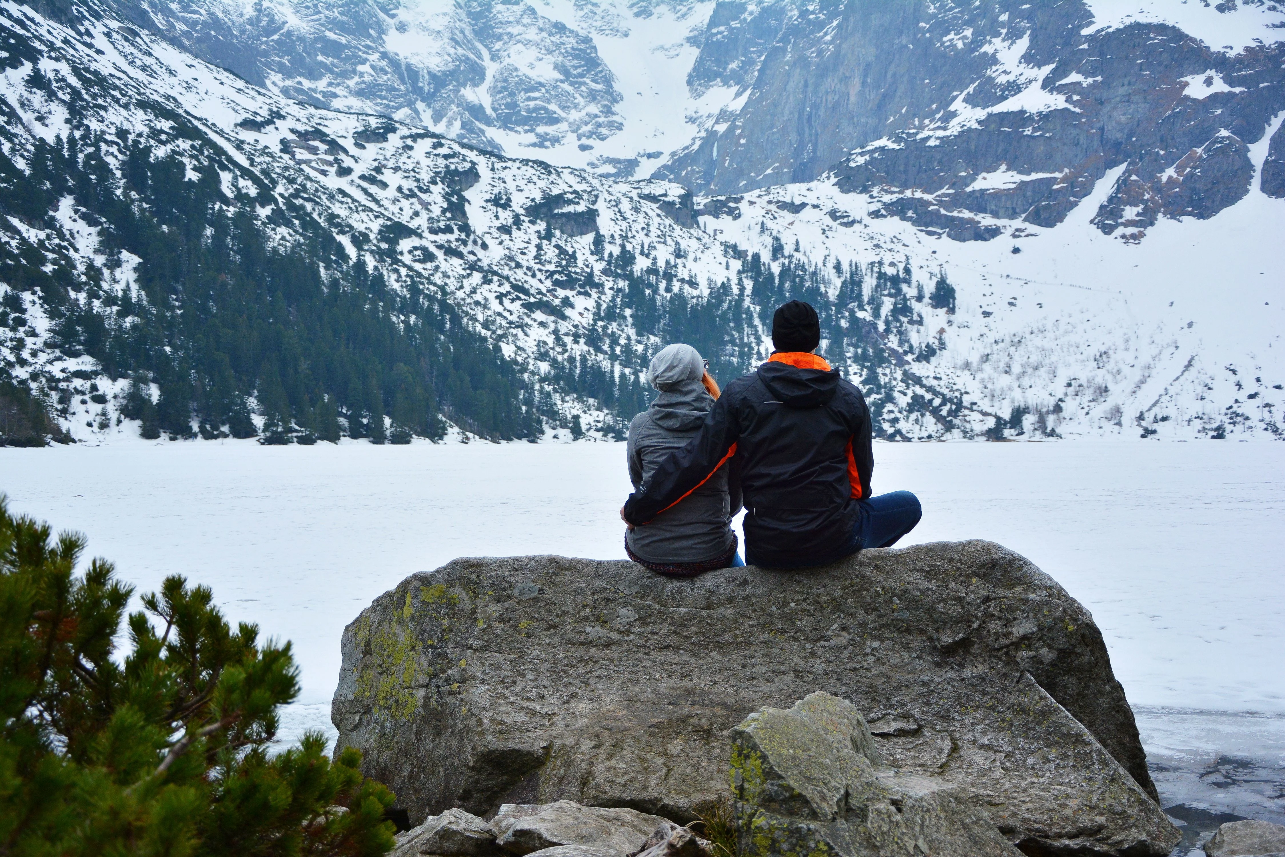 Regenera Luxury &mdash; Viaje Regenerativo en la Naturaleza