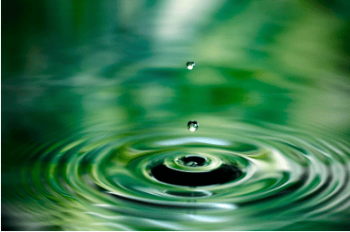 A picture of a drop of water in a pond, which illustrates how sustainable regenerative tourism is. 